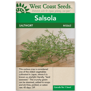 Salsola Saltwort - West Coast Seeds