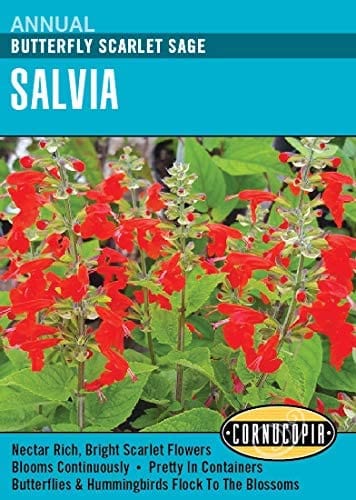 Salvia Butterfly Scarlet - Cornucopia Seeds