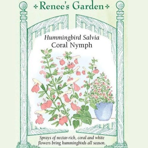 Salvia Coral Nymph - Renee's Garden Seeds