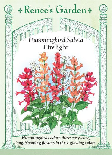 Salvia Firelight Mix - Renee's Garden