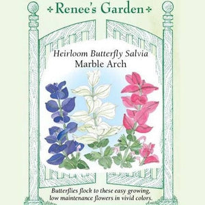 Salvia Marble Arch - Renee's Garden Seeds