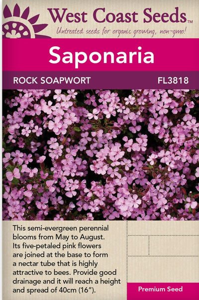 Saponaria Rock Soapwort - West Coast Seeds