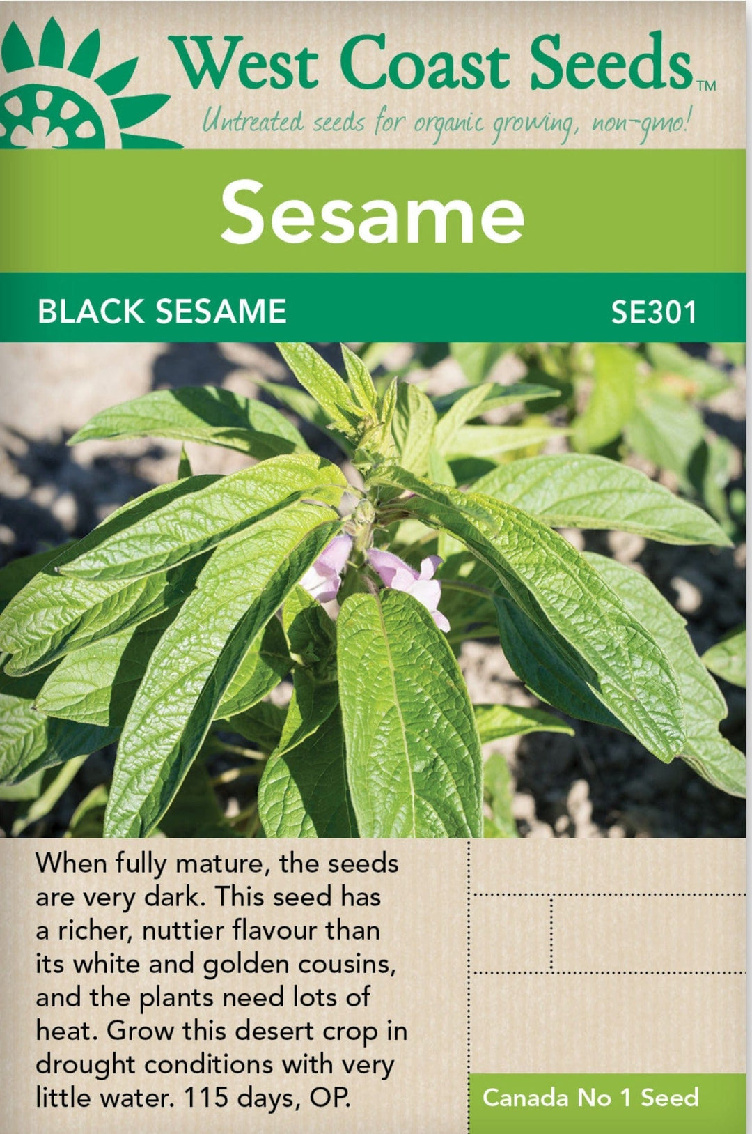 Sesame Black - West Coast Seeds