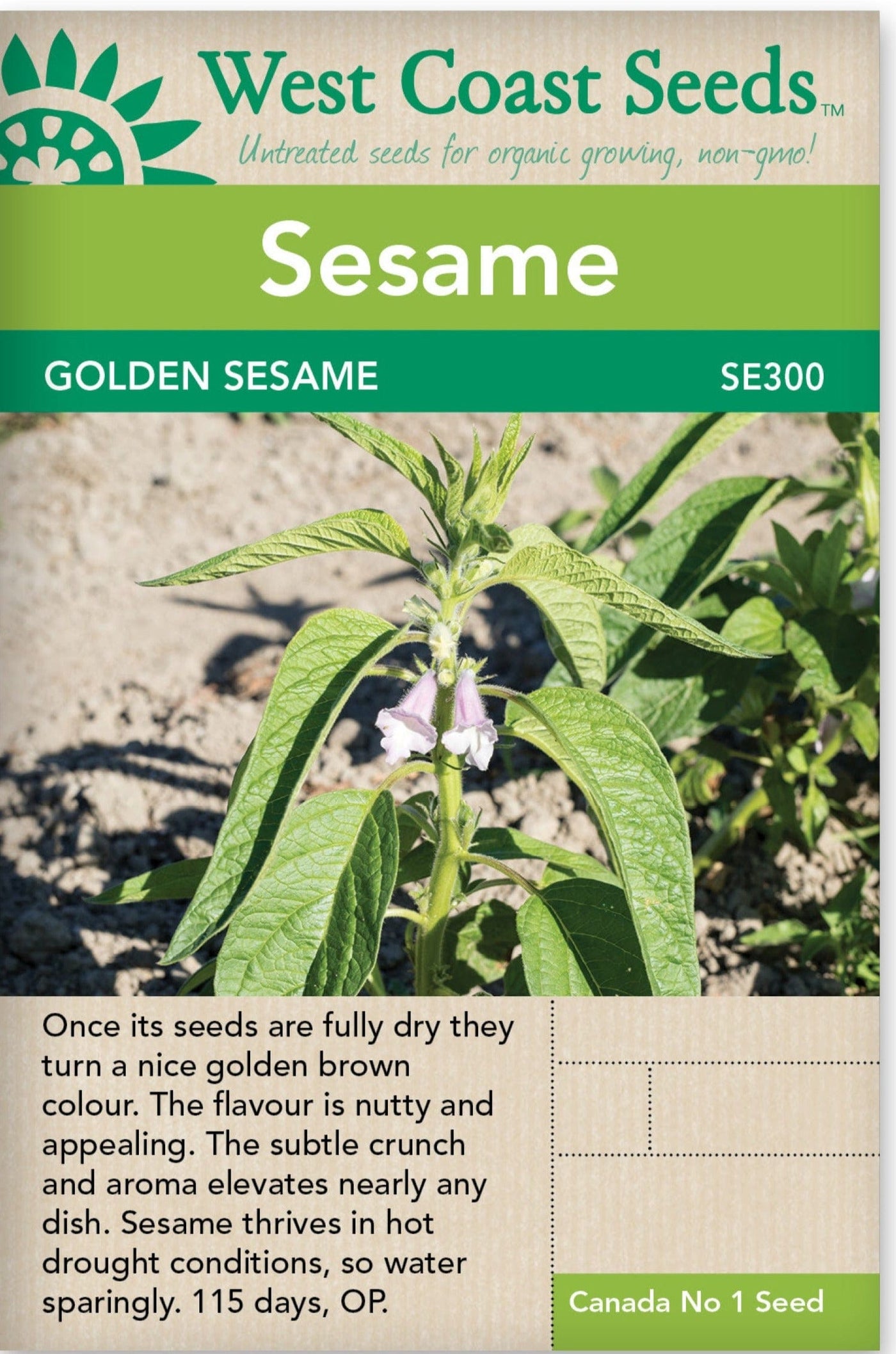 Sesame Golden - West Coast Seeds