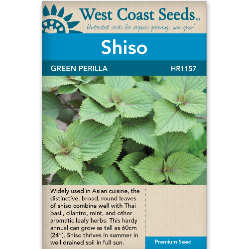 Shiso Green Perilla - West Coast Seeds