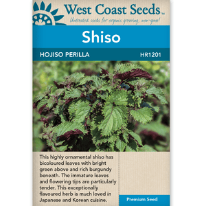 Shiso Hojiso Perilla - West Coast Seeds