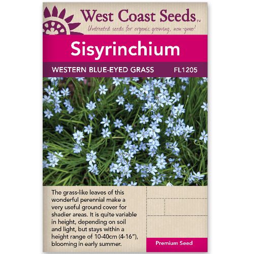 Sisyrinchium Western Blue Eyed Grass - West Coast Seeds