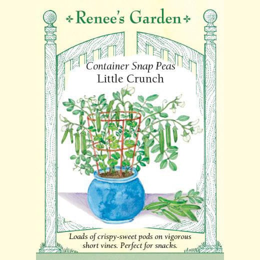 Snap Peas Little Crunch - Renee's Garden 
