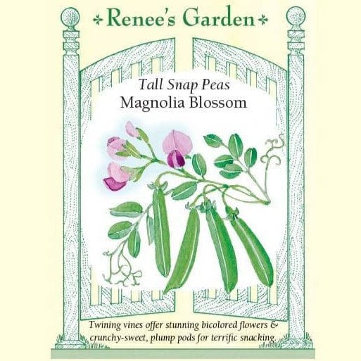 Snap Peas Magnolia Blossom - Renee's Garden Seeds