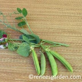 Snap Peas Magnolia Blossom - Renee's Garden Seeds