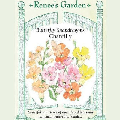 Snapdragons Chantilly - Renee's Garden Seeds