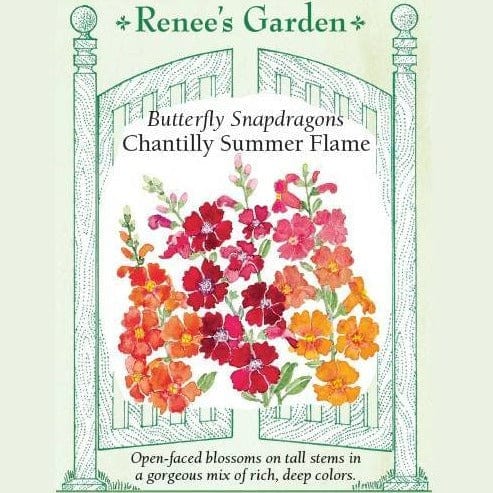 Snapdragons Chantilly Summer - Renee's Garden Seeds