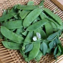 Snow Peas Oregon Sugar Pod - Renee's Garden Seeds