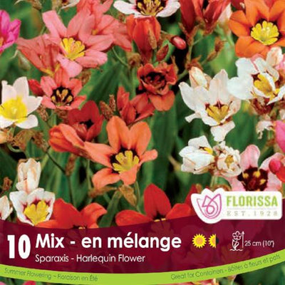 Sparaxis - Mix, 10 Pack