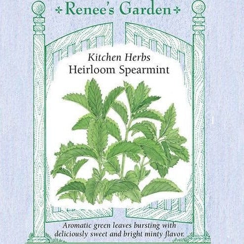Mint Spearmint - Renee's Garden Seeds