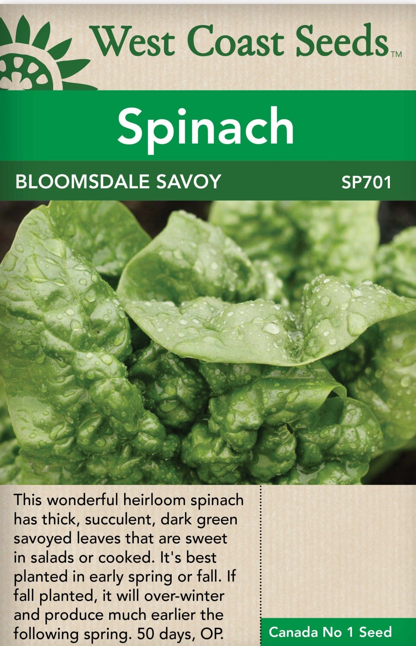 Spinach Bloomsdale Savoy - West Coast Seeds