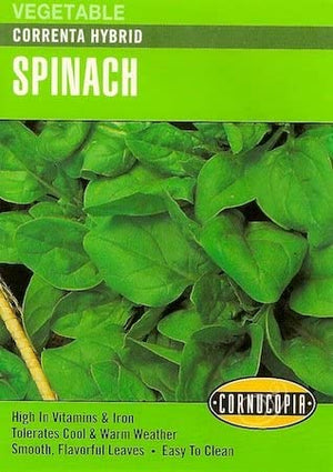 Spinach Correnta Hybrid - Cornucopia Seeds