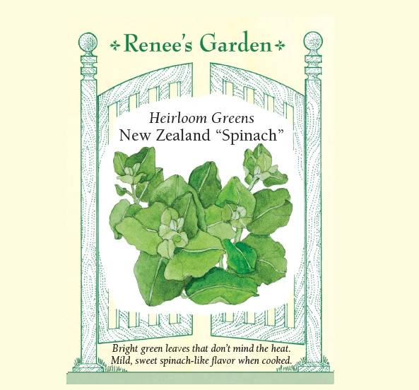 Spinach New Zealand - Renee's Garden Seeds