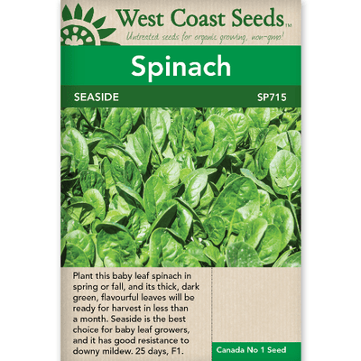 Spinach Seaside - West Coast Seeds