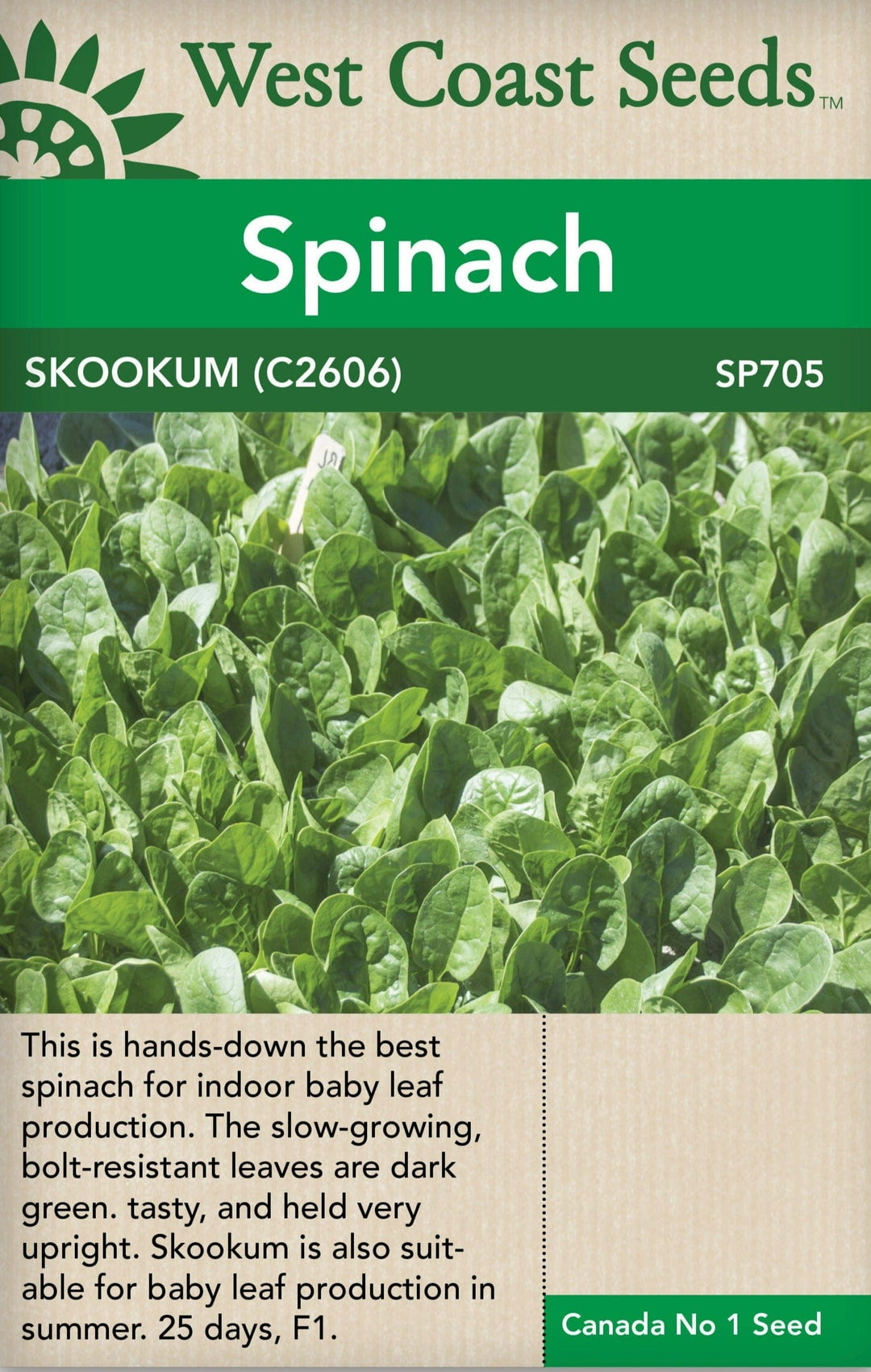 Spinach Skookum - West Coast Seeds