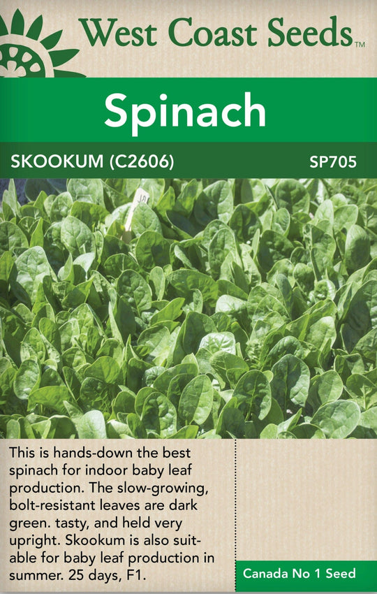 Spinach Skookum - West Coast Seeds