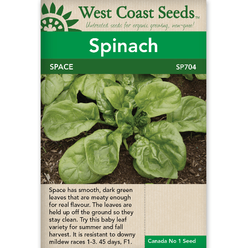 Spinach Space - West Coast Seeds