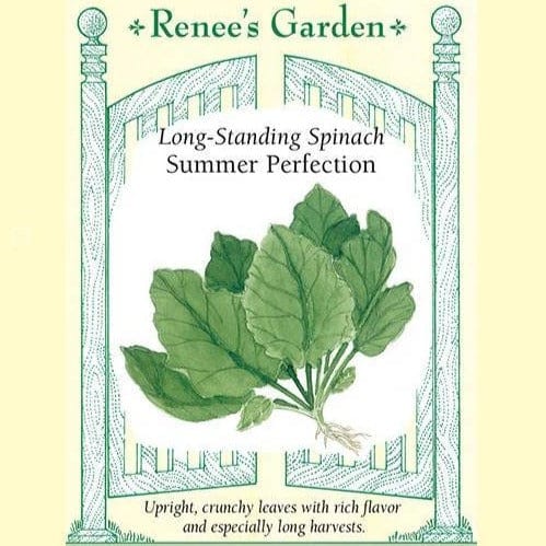 Spinach Summer Perfection - Renee's Garden Seeds