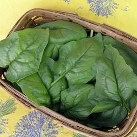 Spinach Summer Perfection - Renee's Garden Seeds