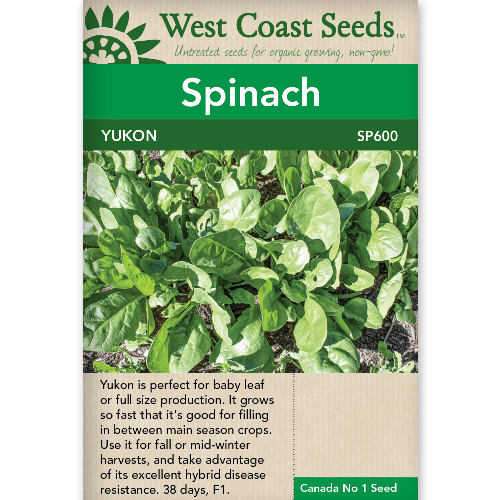 Spinach Yukon - West Coast Seeds