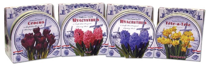 Spring Flowering Bulbs - Ceramic Bowl Kits