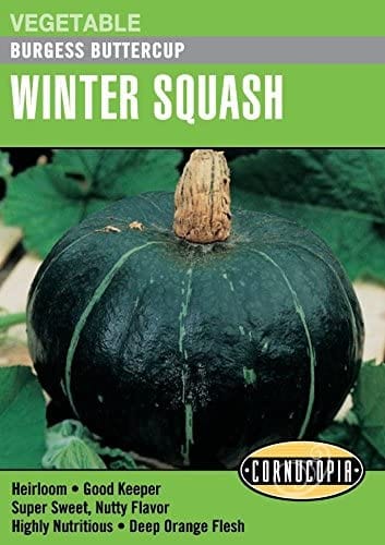 Squash Burgess Buttercup - Cornucopia Seeds