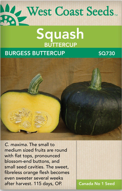 Squash Burgess Buttercup - West Coast Seeds