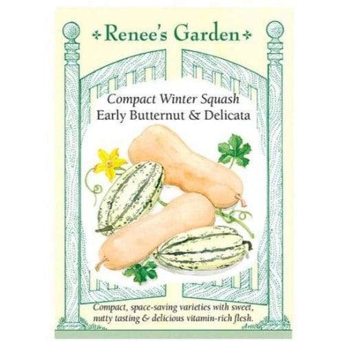 Squash Butternut & Delicata - Renee's Garden Seeds