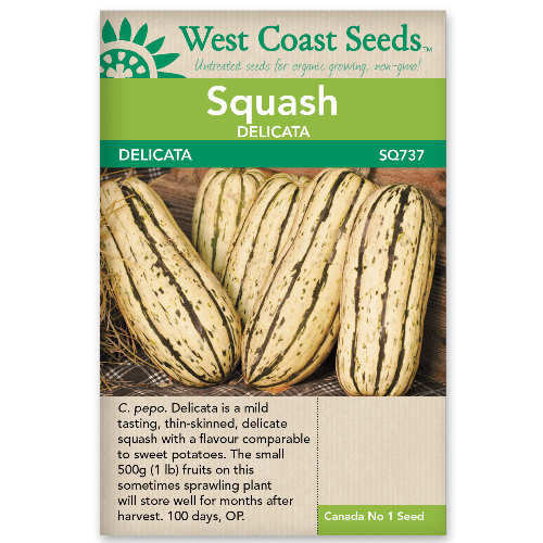 Squash Delicata - West Coast Seeds