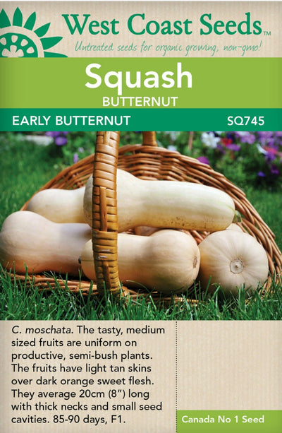 Squash Early Butternut - West Coast Seeds