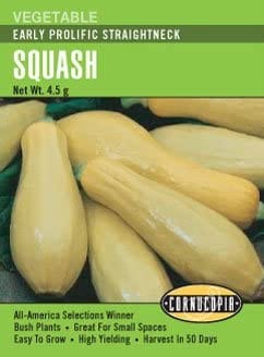 Squash Early Prolific Straightneck - Cornucopia Seeds