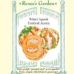 Winter Squash Festival Acorn - Renee's Garden Seeds
