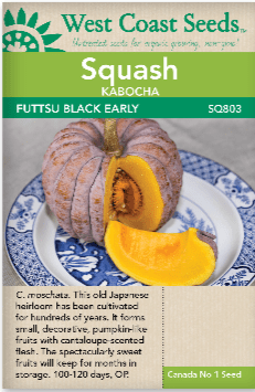 Squash Futtsu Black Early - West Coast Seeds