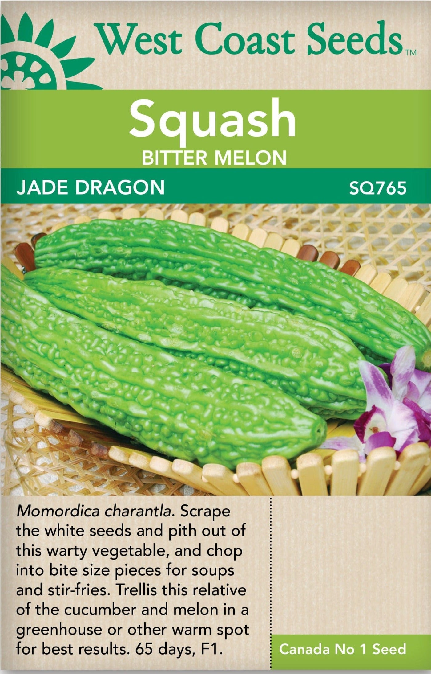 Squash Jade Dragon - West Coast Seeds