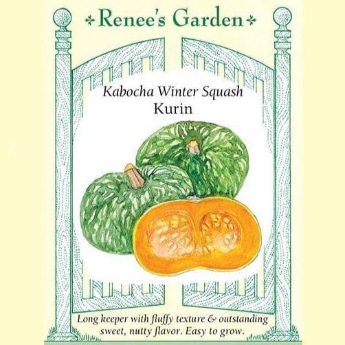 Squash Kurin - Renee's Garden Seeds