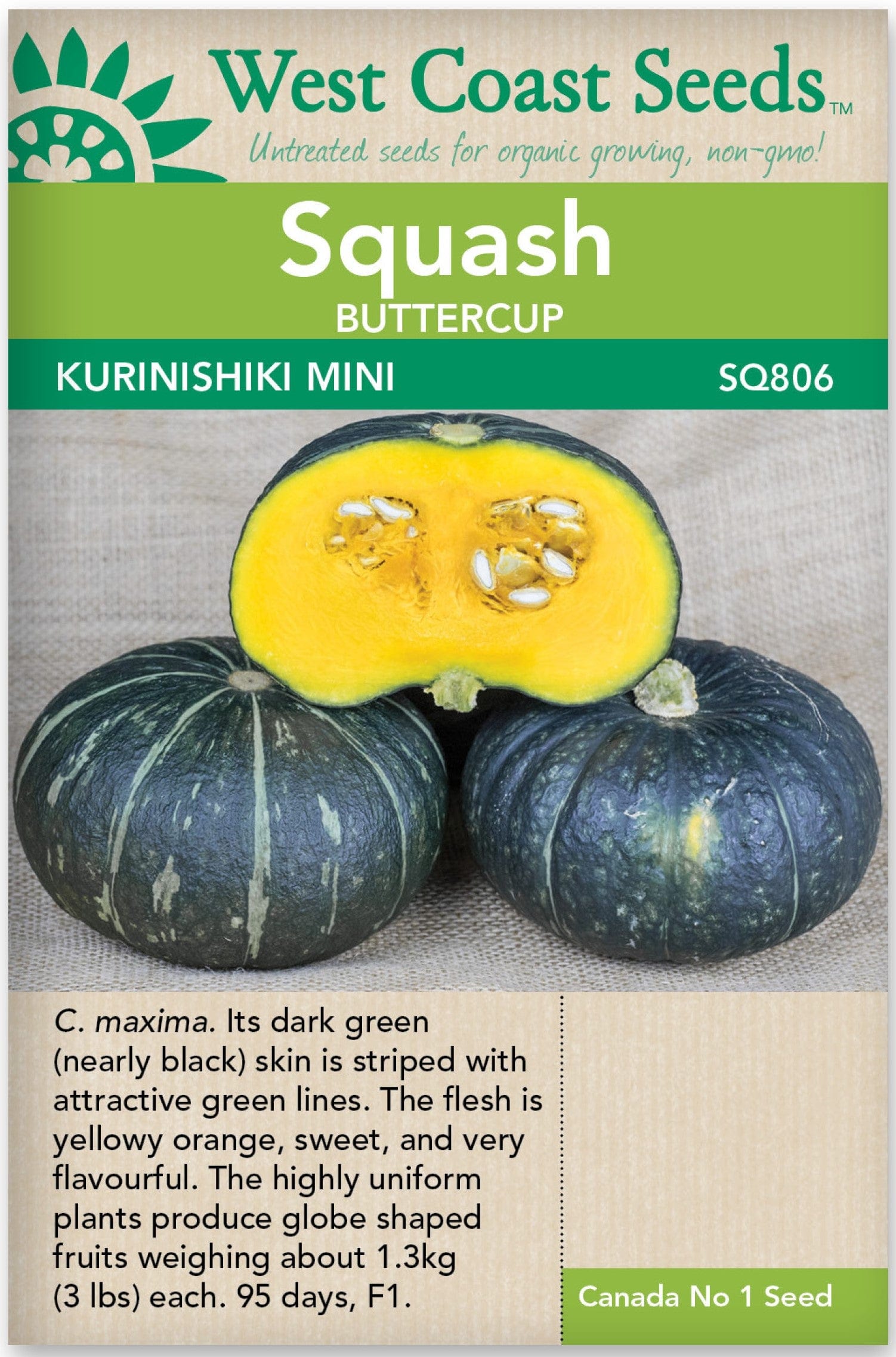 Squash Kurinishki - West Coast Seeds