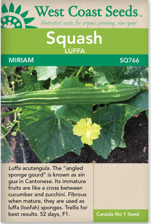 Squash Luffa Miriam - West Coast Seeds