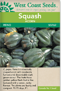 Squash Reno - West Coast Seeds