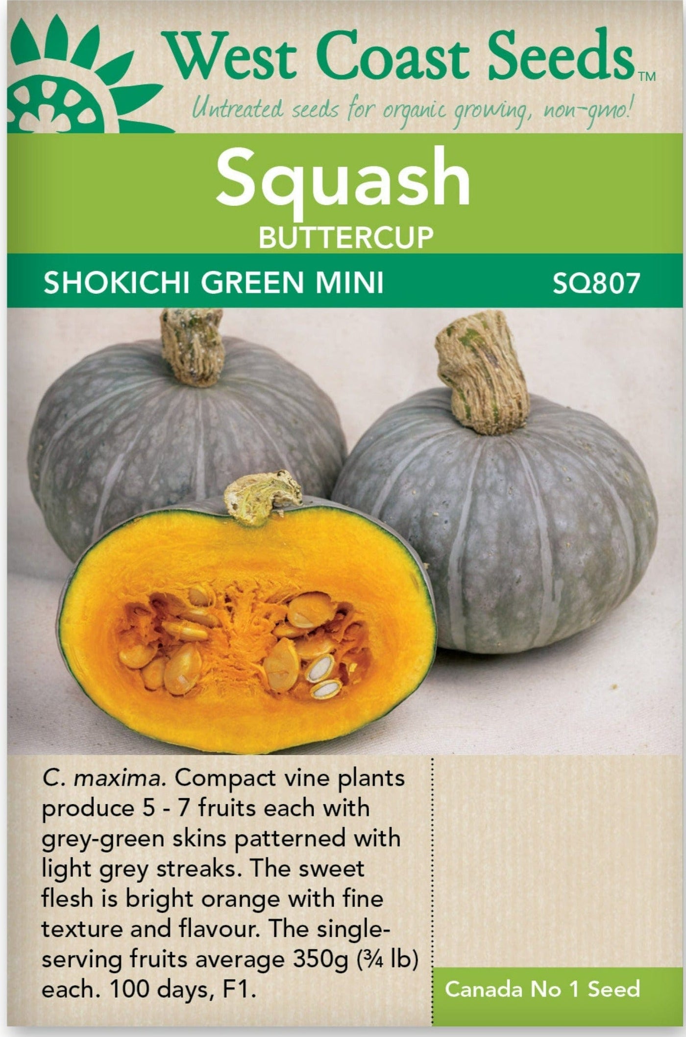 Squash Shokichi Green Mini - West Coast Seeds