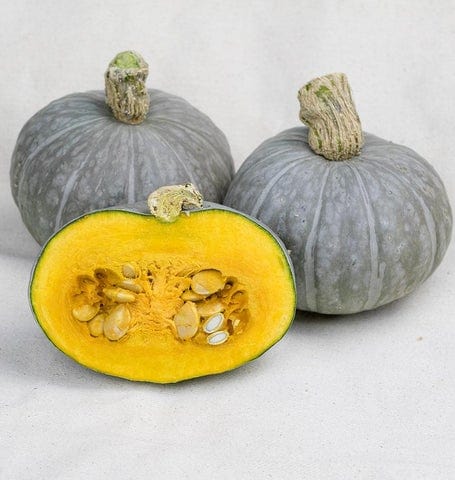 Squash Shokichi Green Mini - West Coast Seeds