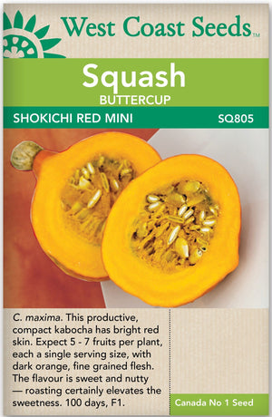 Squash Shokichi Red Mini - West Coast Seeds