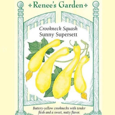 Squash Sunny Supersett - Renee's Garden Seeds