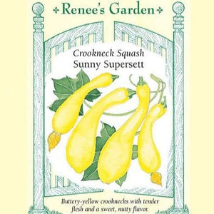 Squash Sunny Supersett - Renee's Garden Seeds