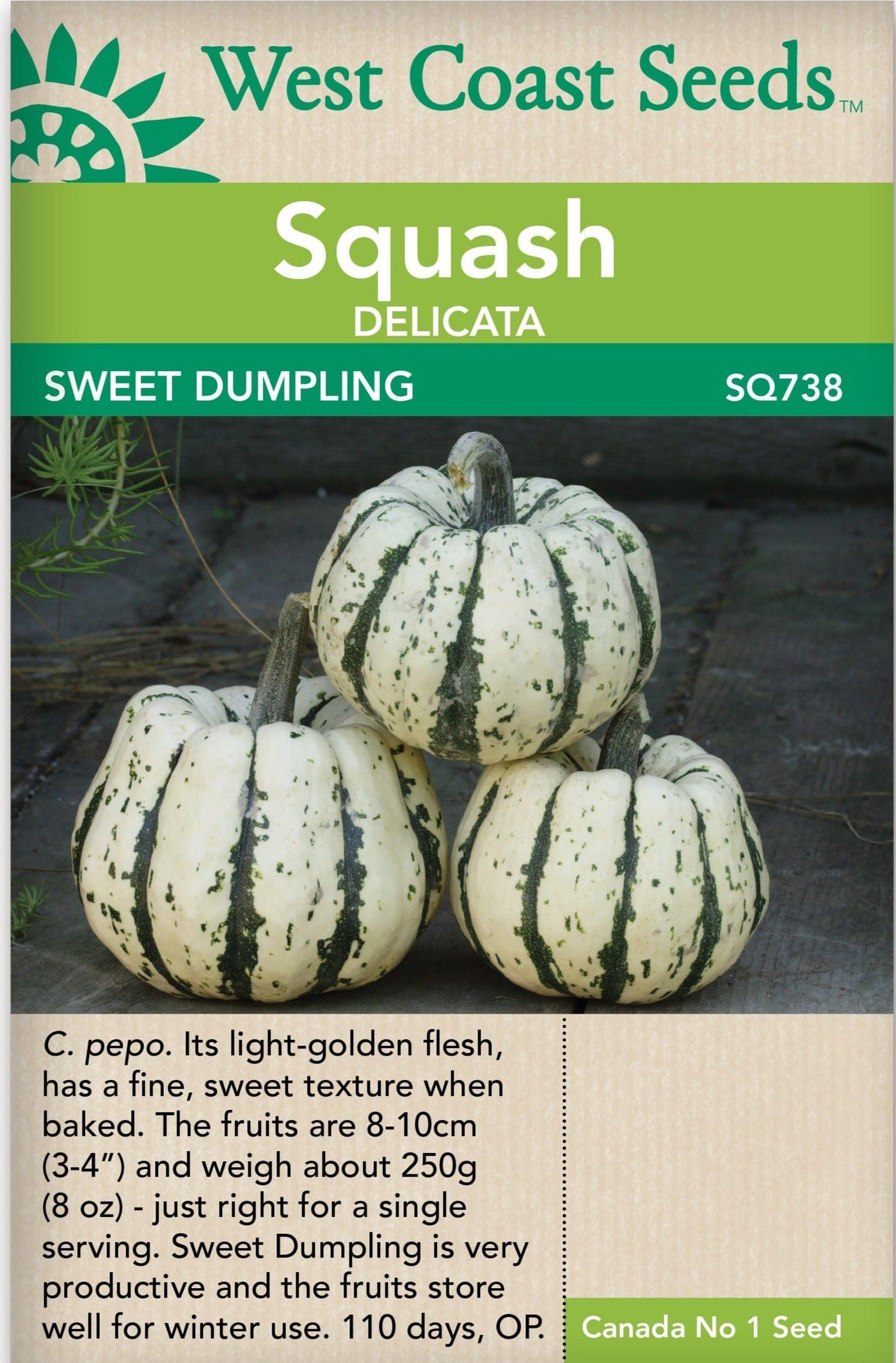 Squash Sweet Dumpling - West Coast Seeds