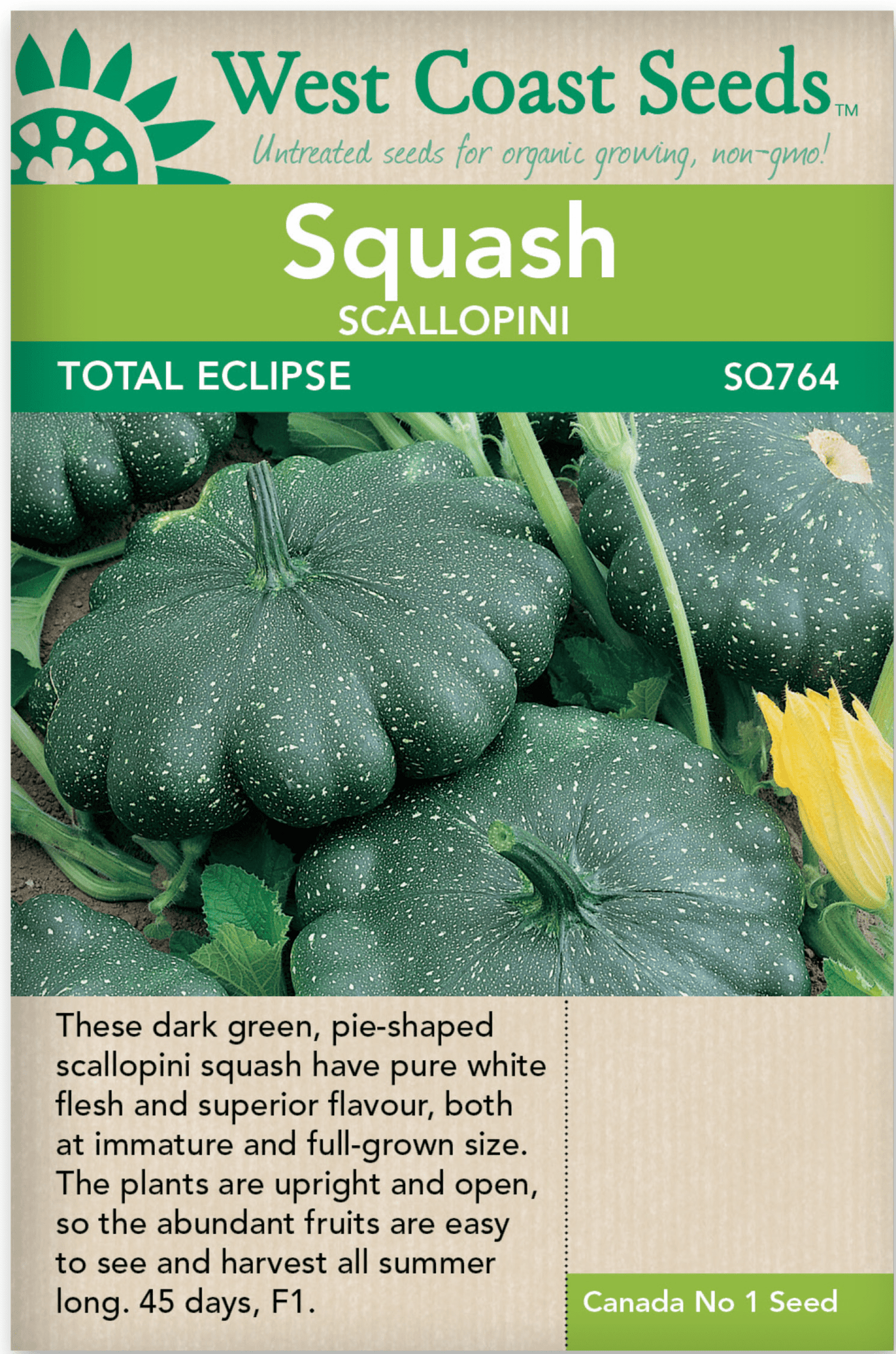 Squash Total Eclipse - West Coast Seeds